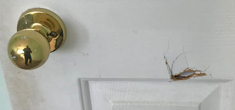 interior door hole repair Keyes